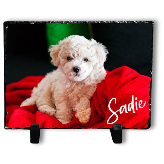 Puppy on a photo slate on a red blanket