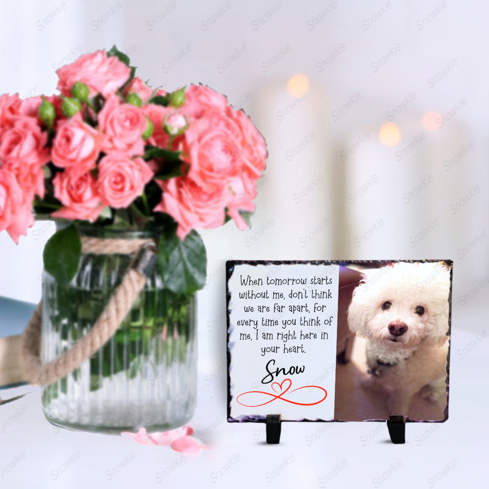 The Snowkie© Customized Personalizedbest  Large Dog Memorial Slate (5"x7")